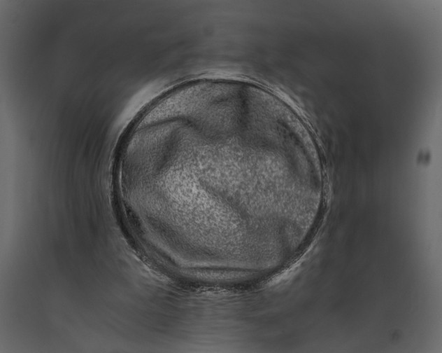 X0000091060199200708271202
