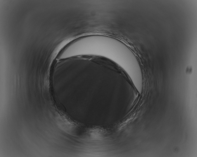 X0000091060200200708271202
