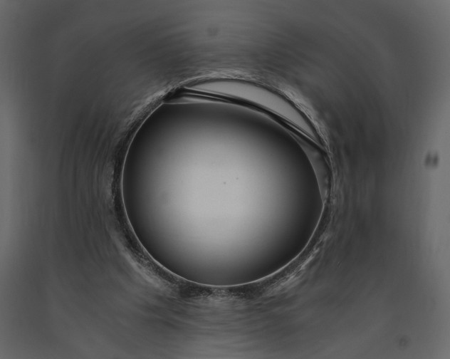 X0000091060201200708271202