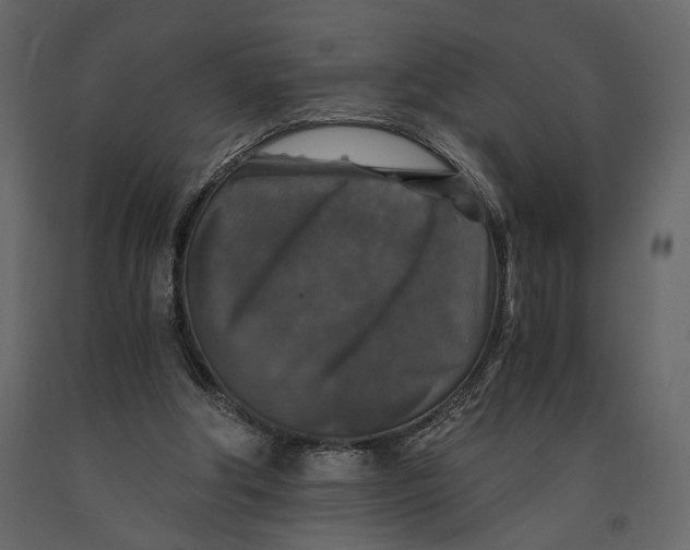 X0000091060202200708271202