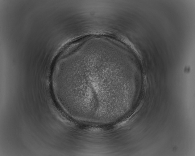 X0000091060203200708271202