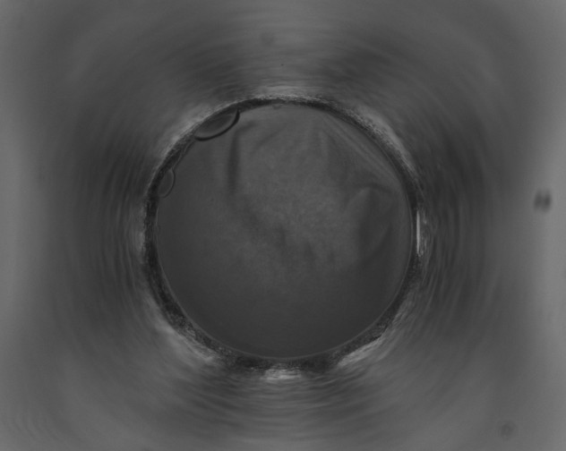 X0000091060204200708271202