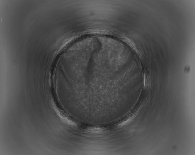 X0000091060205200708271202