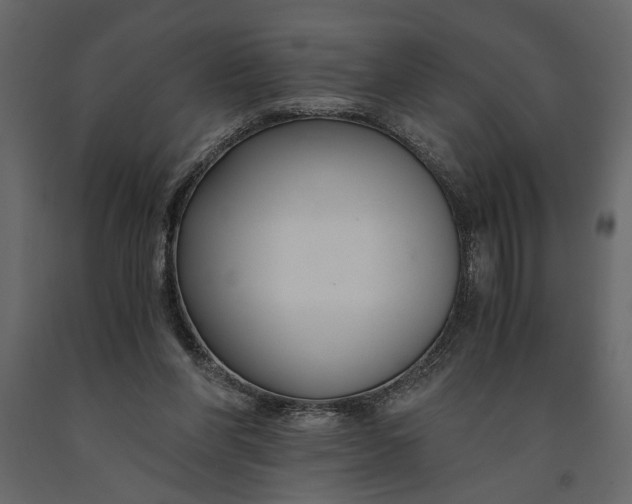 X0000091060206200708271202