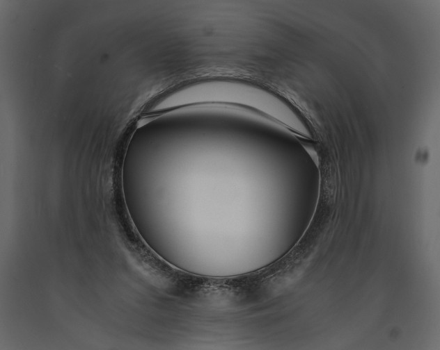 X0000091060207200708271202