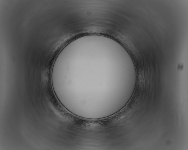 X0000091060208200708271202