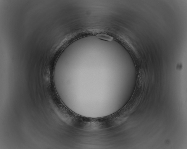 X0000091060212200708271202