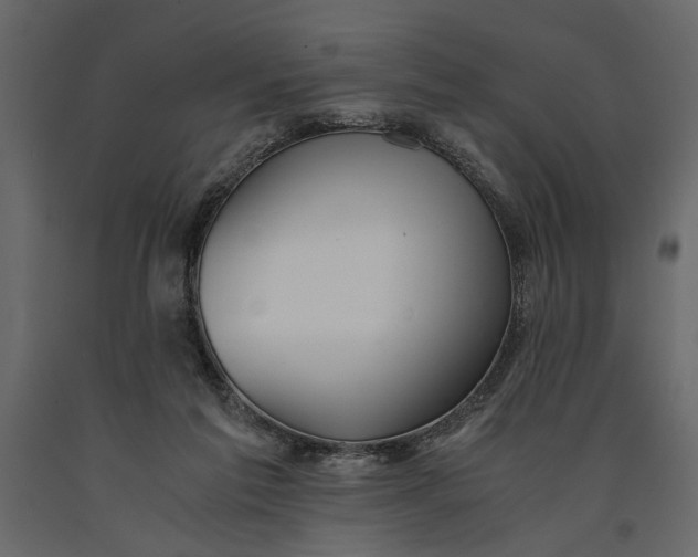 X0000091060213200708271202