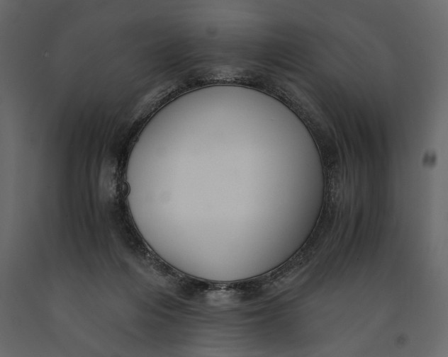 X0000091060216200708271202