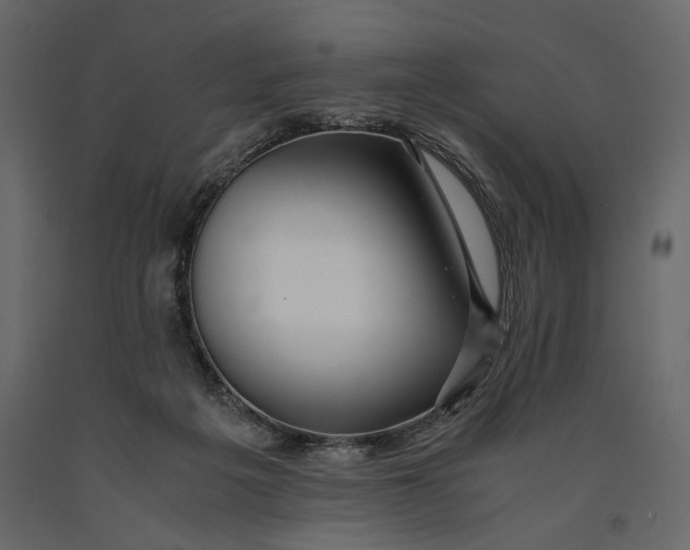 X0000091060217200708271202