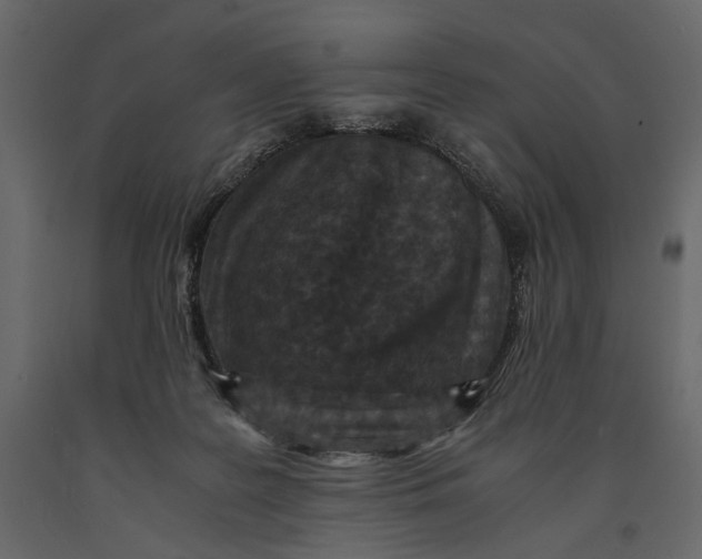 X0000091060219200708271202