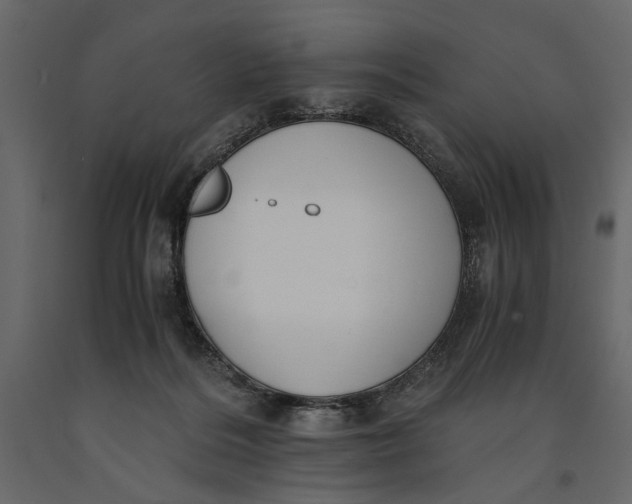 X0000091060220200708271202