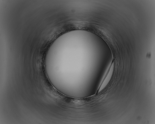 X0000091060221200708271202