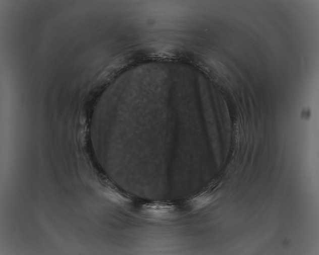 X0000091060223200708271202