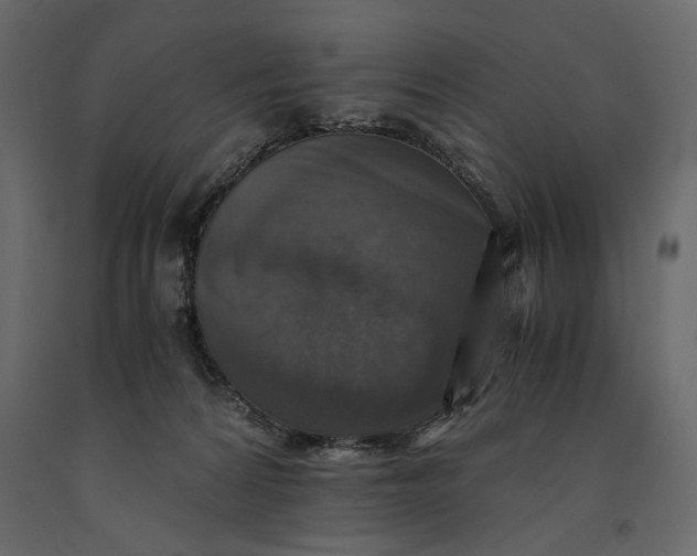 X0000091060224200708271202