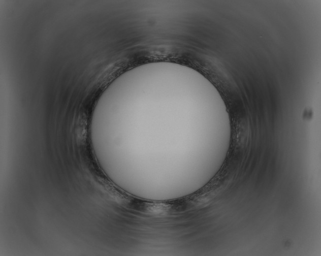 X0000091060226200708271202