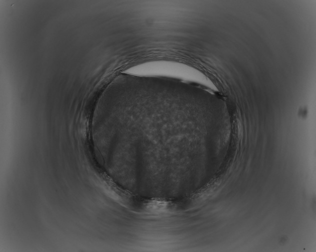 X0000091060227200708271202