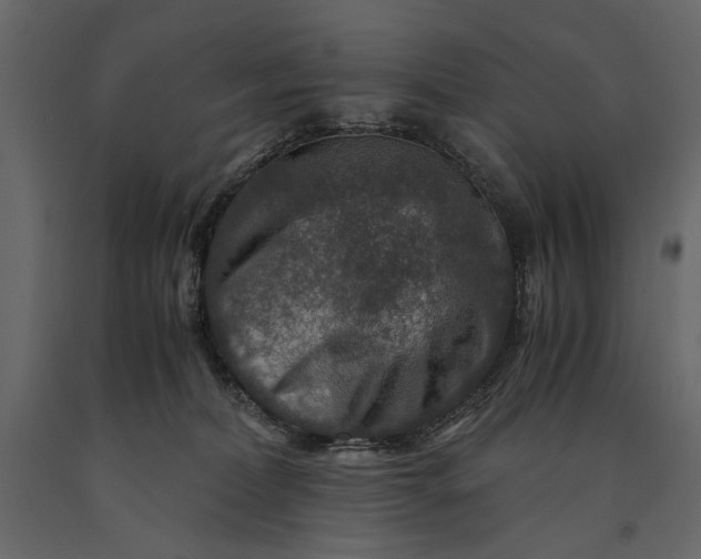 X0000091060228200708271202