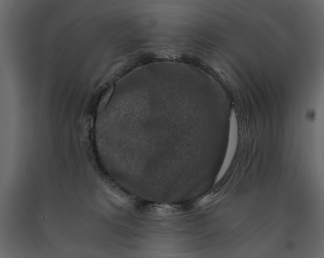 X0000091060229200708271202