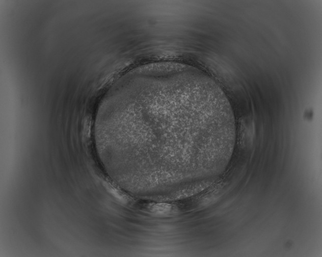 X0000091060230200708271202