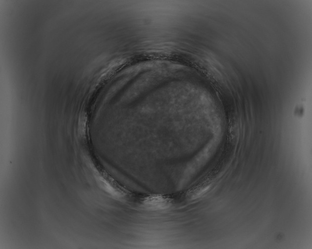X0000091060231200708271202
