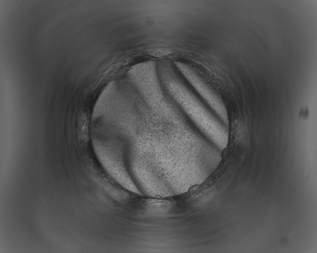 X0000091060234200708271202
