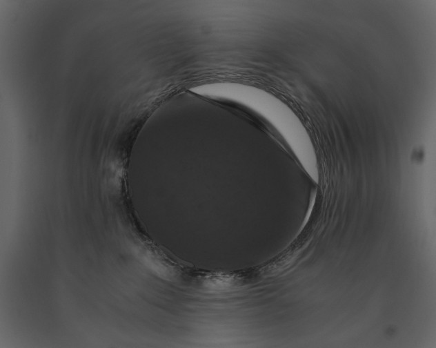 X0000091060235200708271202