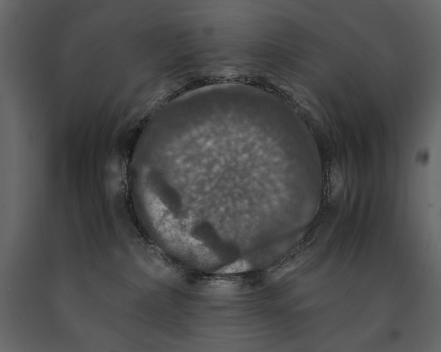 X0000091060236200708271202