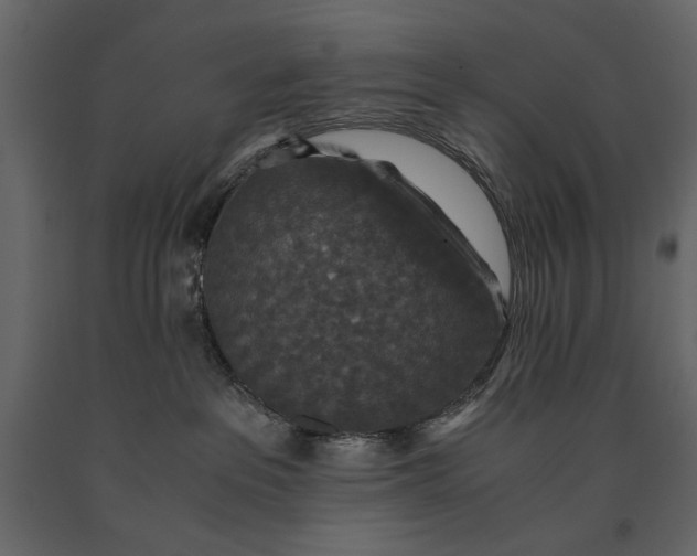 X0000091060237200708271202
