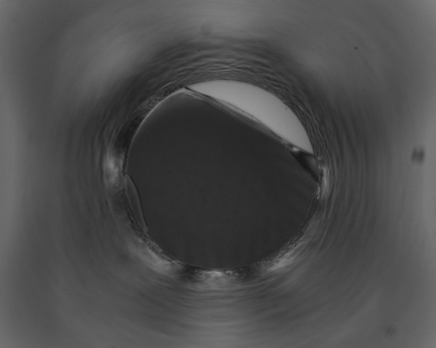 X0000091060239200708271202