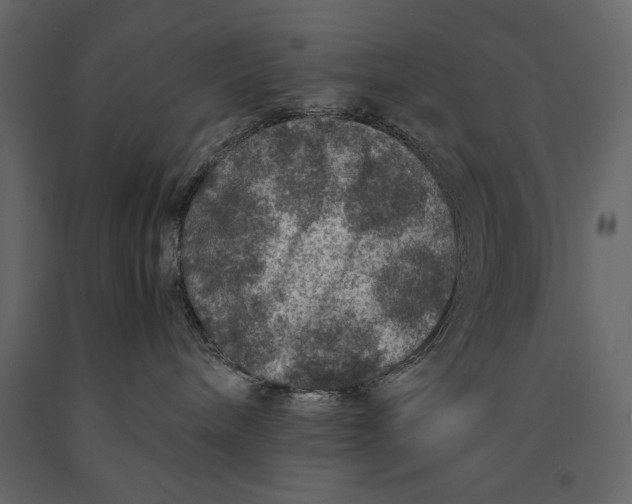 X0000091060240200708271202