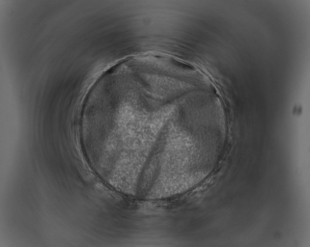 X0000091060241200708271201