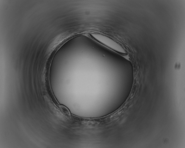 X0000091060242200708271201