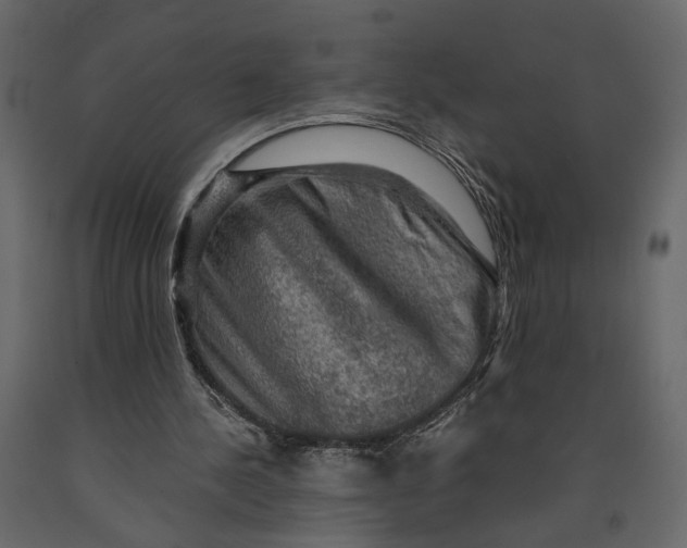 X0000091060244200708271201