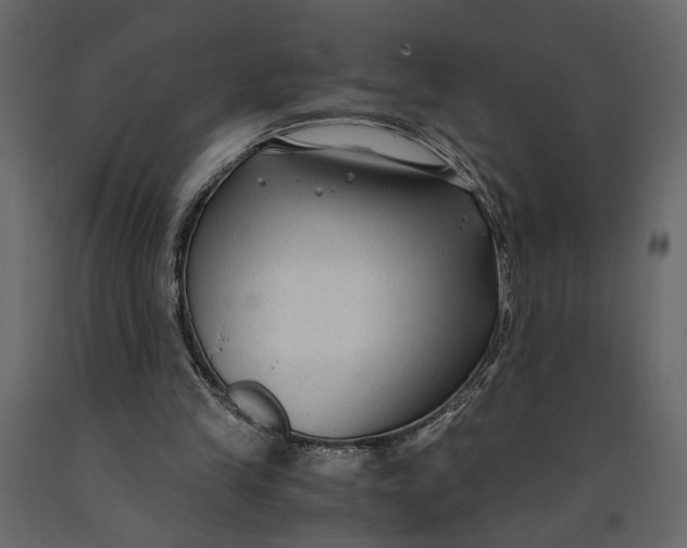 X0000091060245200708271201