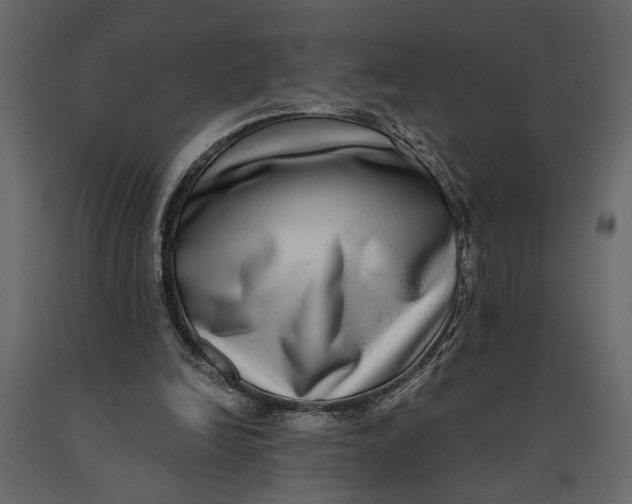 X0000091060246200708271201