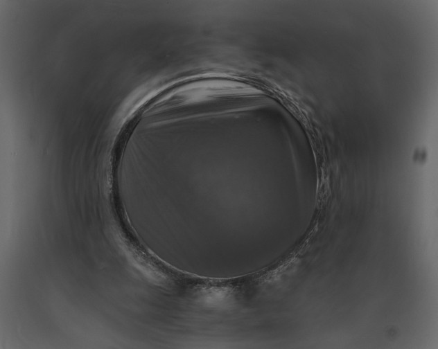 X0000091060247200708271201
