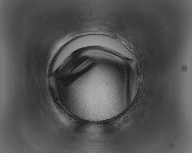 X0000091060248200708271201