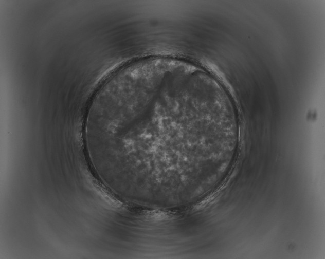 X0000091060249200708271201