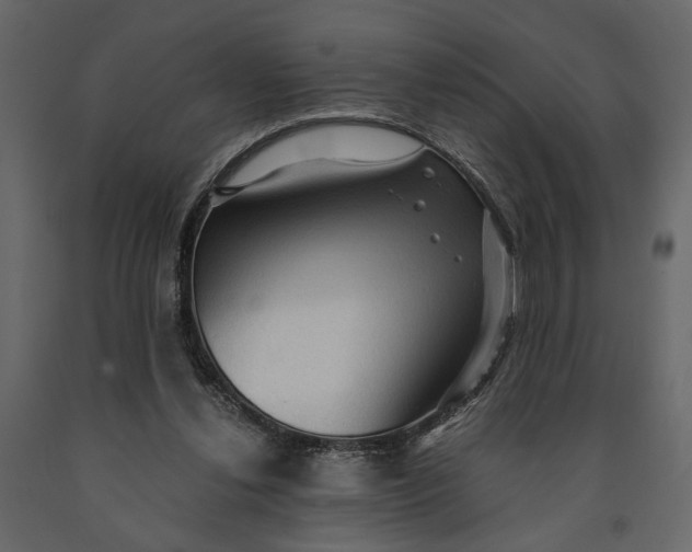 X0000091060252200708271201