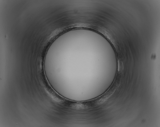 X0000091060253200708271201