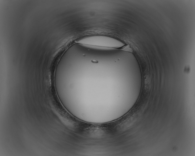 X0000091060254200708271201