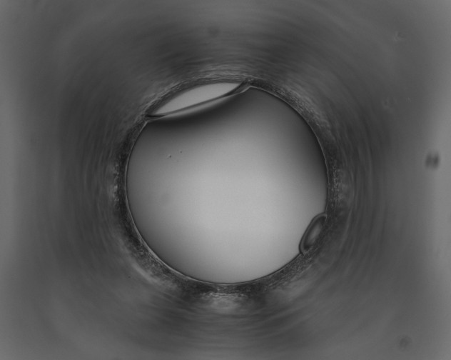 X0000091060255200708271201
