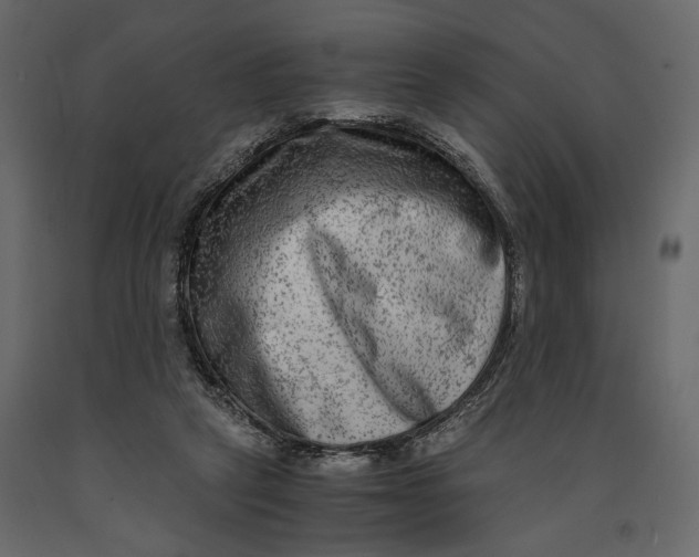 X0000091060257200708271201