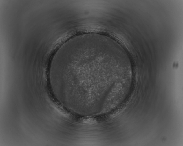 X0000091060258200708271201