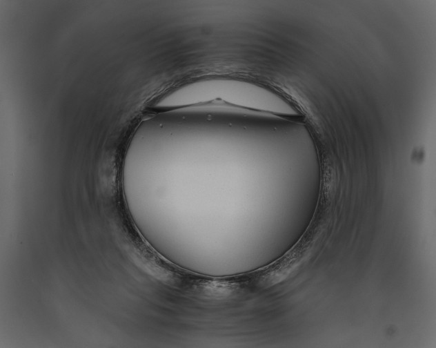 X0000091060261200708271201