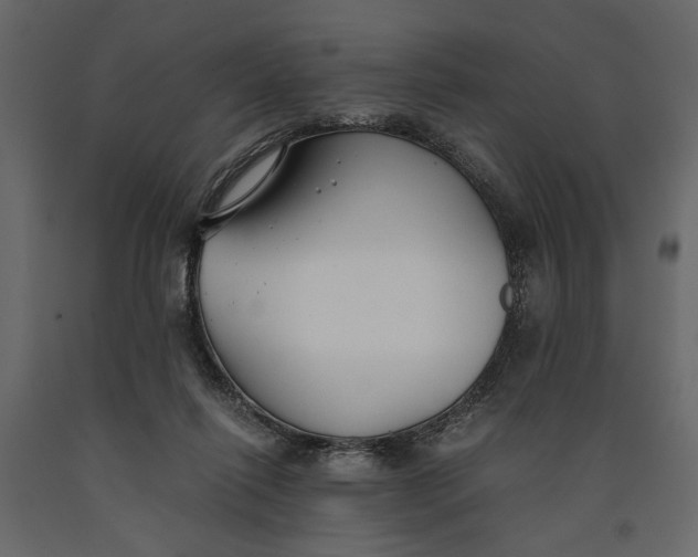 X0000091060262200708271202