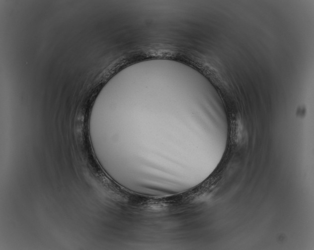 X0000091060263200708271202