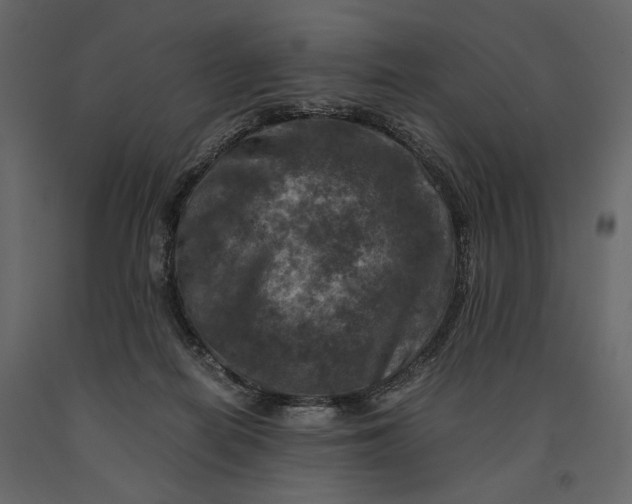 X0000091060266200708271202