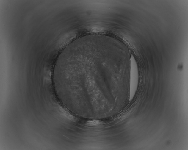 X0000091060269200708271202